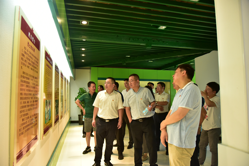 市政分公司黨總支、合肥市重點(diǎn)局直屬黨委第二黨支部聯(lián)合開展主題黨日活動3